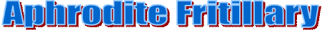 Aphrodite Fritillary