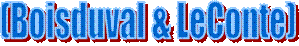 (Boisduval & LeConte)