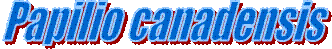 Papilio canadensis