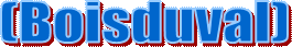(Boisduval)