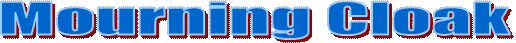 Mourning Cloak