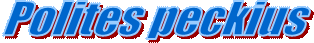 Polites peckius