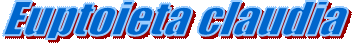 Euptoieta claudia